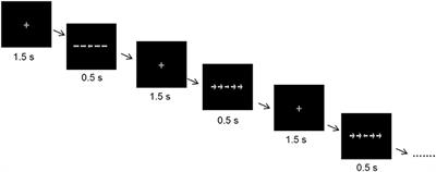 Acute Effects of Aerobic Exercise on Executive Function and Attention in Adult Patients With ADHD